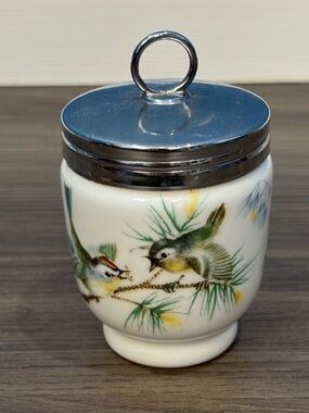 Vintage Royal Worcester England Porcelain Egg Coddler Bird Dragonfly With Lid